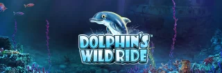 dolphins wild ride